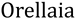 Orellaia